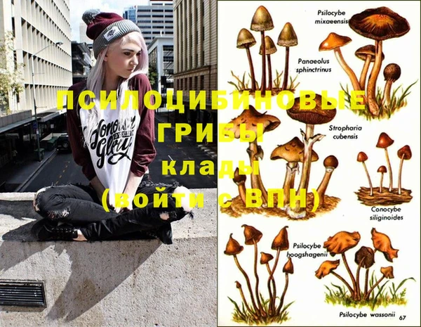 спиды Баксан